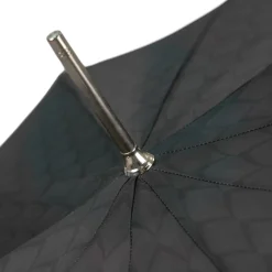 Il Marchesato Dragon’s Fury: Black Umbrella with Fierce Dragon Handle Online