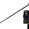 Il Marchesato Elegant Cane with Sculpted Black Skull Handle and Gold Accents Discount