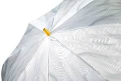 Il Marchesato Elegant Umbrella with Gold-Plated Lion Handle – Limited Edition Best