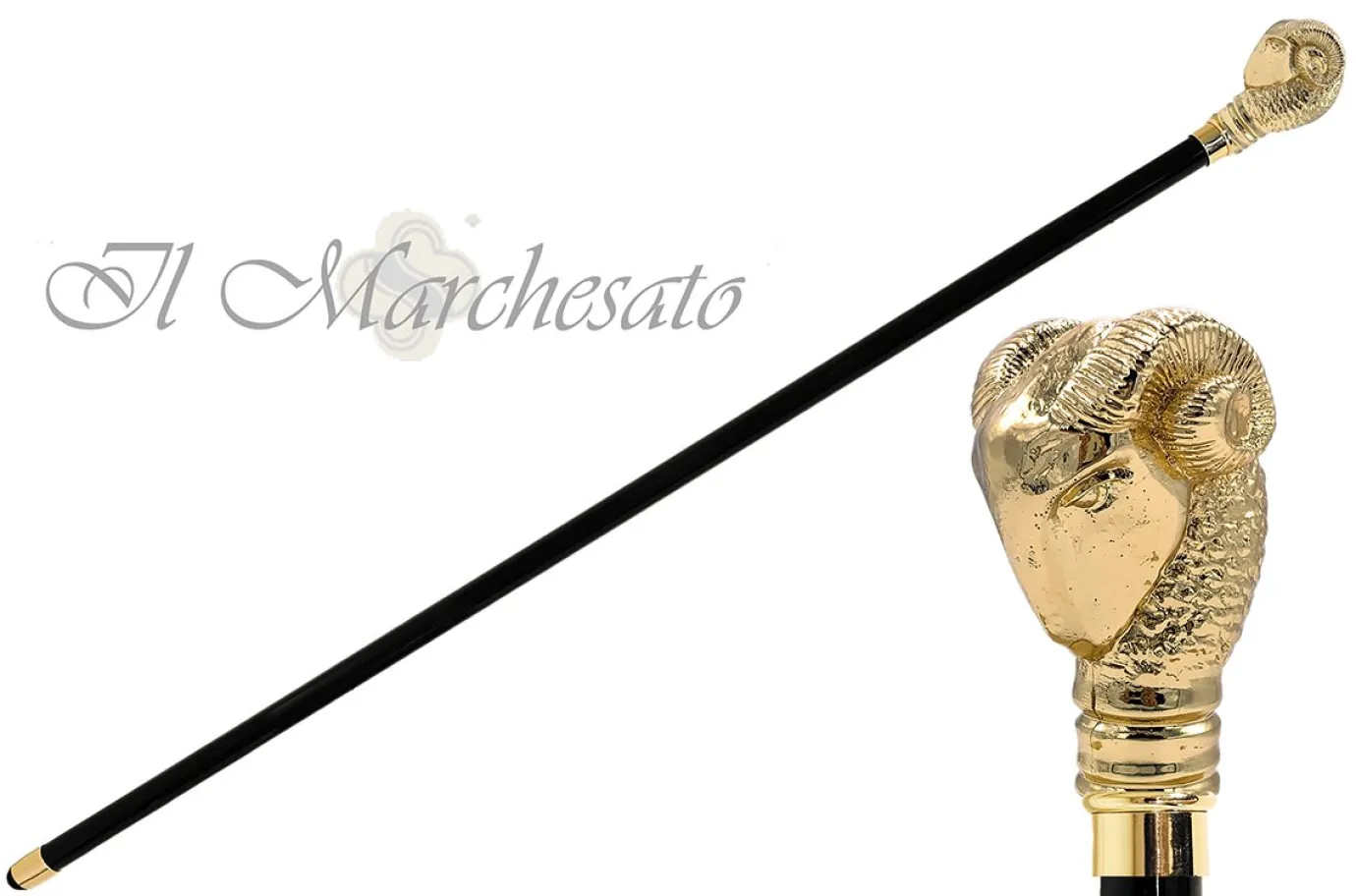 Il Marchesato Fantastic golden Aries cane Hot