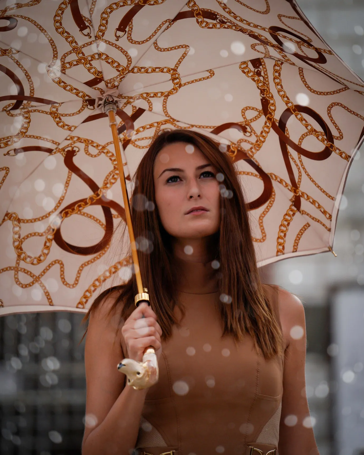 Il Marchesato Handmade umbrella with hand-enamelled Dog and Elegant design Discount