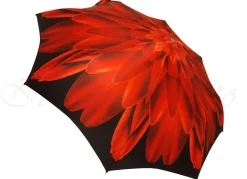 Il Marchesato Red Dahlia - Luxury Ladies Umbrella Discount