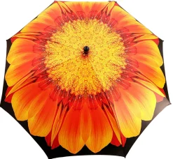 Il Marchesato Remarkable Distinctive Flower Design Clearance